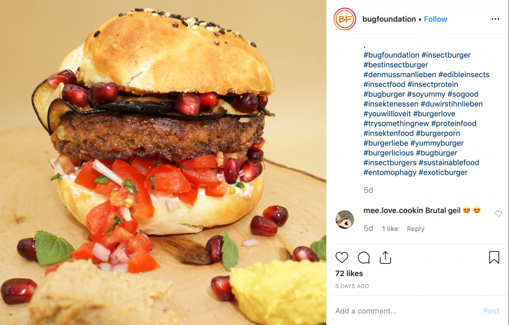 Image of burger where the meat has been made with edible insects
