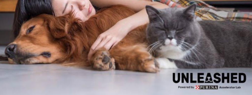 Purina Unleashed picture wth dog, cat and woman sleeping