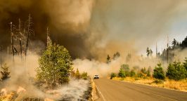 Wildfires
