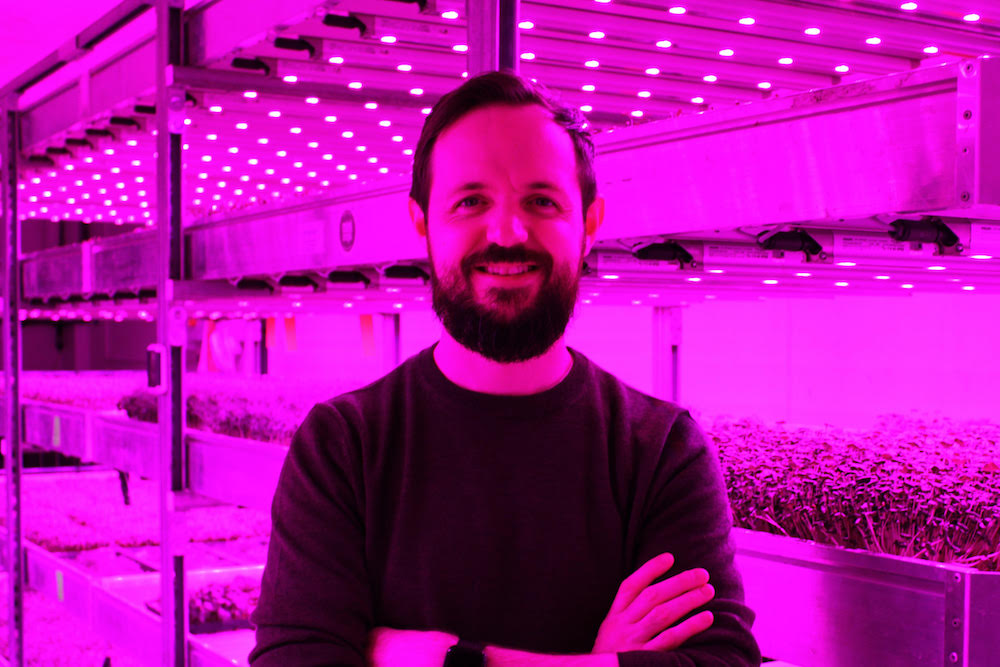 &iquest;Puede la agricultura vertical crecer m&aacute;s all&aacute; de las hierbas y las hojas?