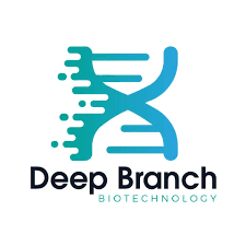 Deep Branch’s logo