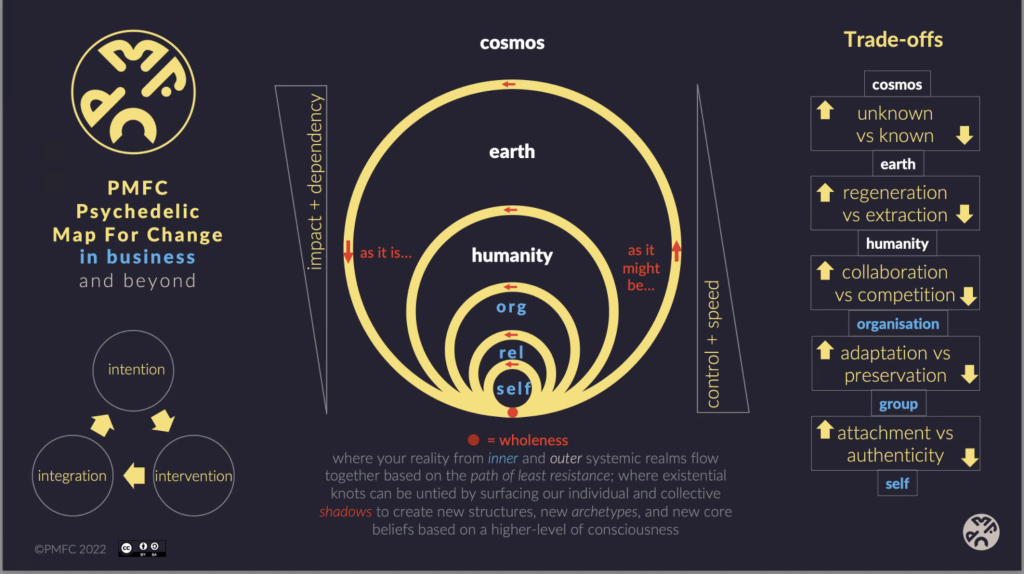 An illustration of how a psychedelic map for change works