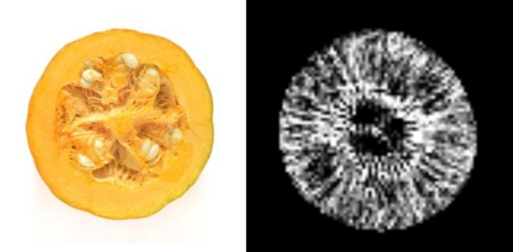 Picture of a cut open butternut squash and the image from the same squash using Spectroma's imaging device.
