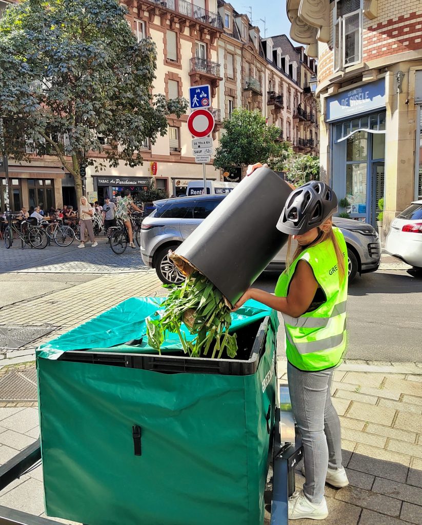A woman emptying a compost bin with greenery inside