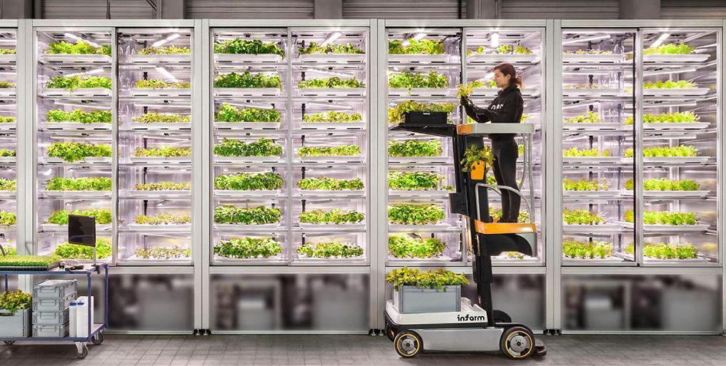 Inside an Infarm vertical farm plant